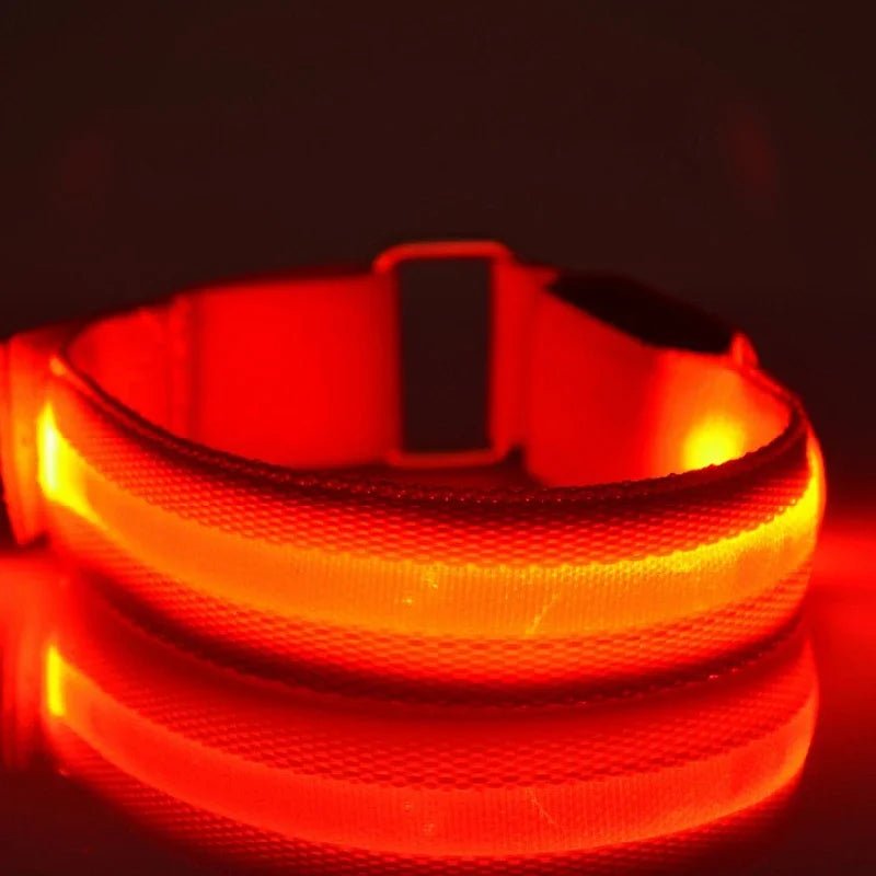 Night Running Armband LED Light Outdoor Sports USB Rechargeable Safety Belt Arm Leg - Maxwell shop